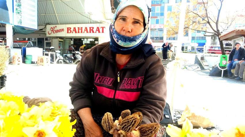 Kan şekerini düzenliyor, diyabet ve kansere karşı savaşçı! Kilo fiyatı altınla yarışıyor
