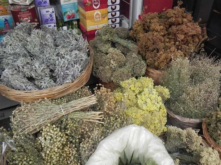 Kış aylarında hastaların şifa kaynağı! En fazla bu ürünü tercih ediyorlar
