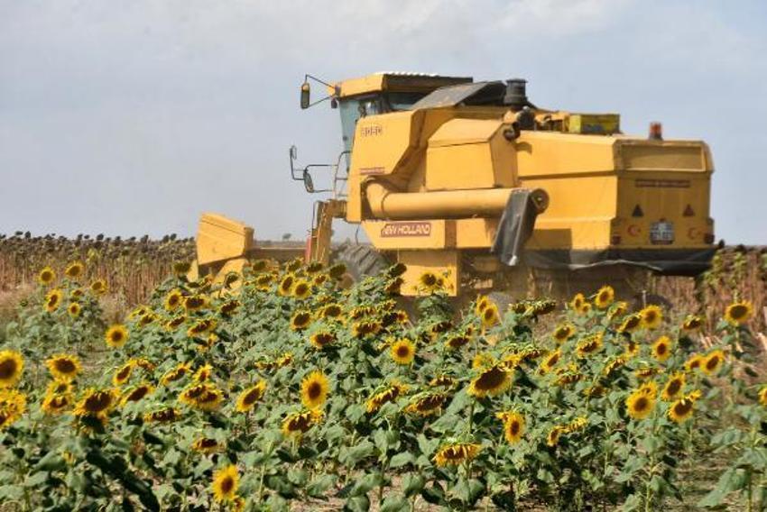 Ayçiçek yağı fiyatlarıyla ilgili flaş açıklama geldi! Tedirgin ediyor
