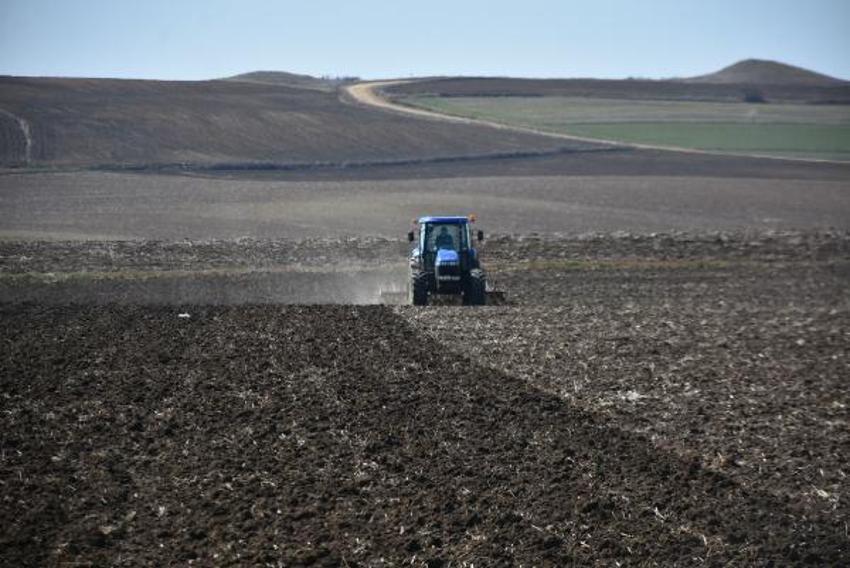 Ayçiçek yağı fiyatlarıyla ilgili flaş açıklama geldi! Tedirgin ediyor