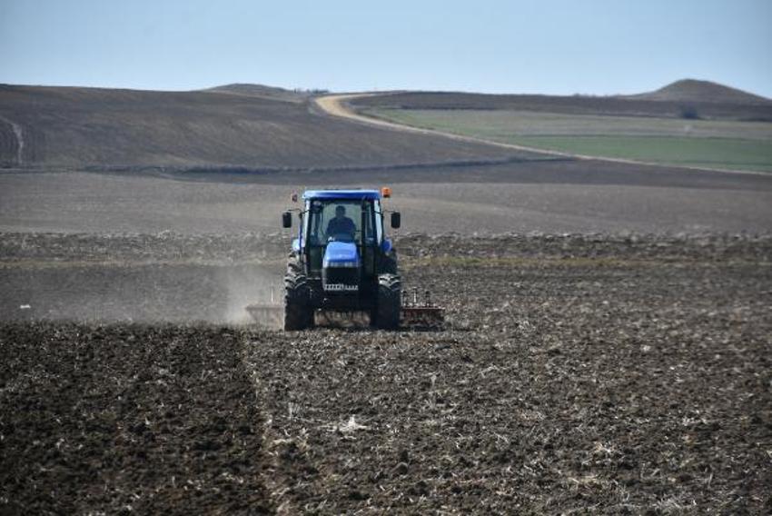 Ayçiçek yağı fiyatlarıyla ilgili flaş açıklama geldi! Tedirgin ediyor