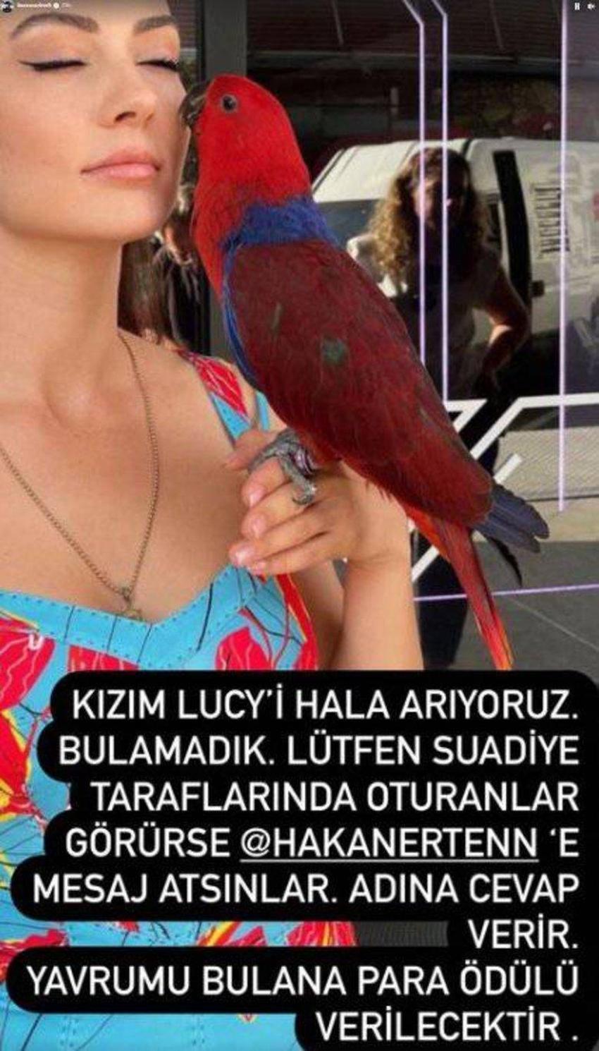 Burcu Özberk'in papağanı kaçtı! Bulana para ödülü verecek