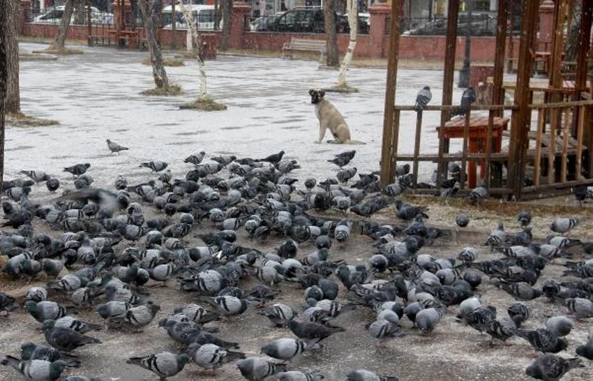 Şiddetli yağmur ve kar yağışı tekrar geliyor! Meteoroloji son dakika il il duyurdu, 5 gün sürecek