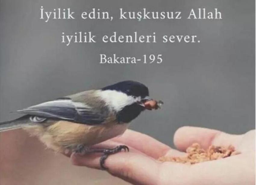 Ramazan ve Cuma mesajları 2023! 24 Mart Ramazan'ın ilk Cuma mesajları... 