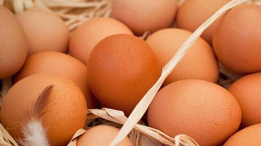 "D vitamini eksikliği üreme sağlığını olumsuz etkiliyor"