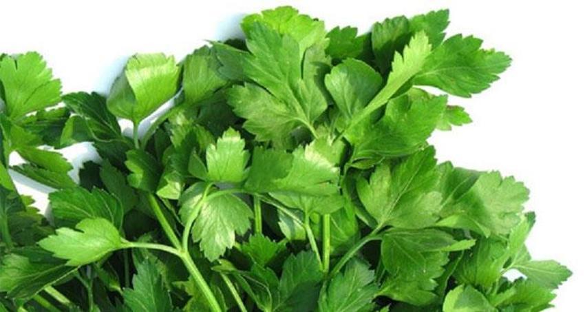 "D vitamini eksikliği üreme sağlığını olumsuz etkiliyor"