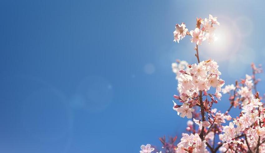 21 Mart ekinoksu nedir, ilkbahar ekinoksu 21 Mart özellikleri nelerdir? İlkbahar ekinoksunda ne yapılır? İlkbahar ekinoksu ritüelleri…