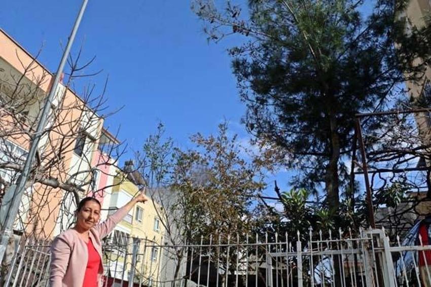 Evinin bahçesindeki tırtılları süpürdü, panikle hastaneye gitti! 'Her şey 15 dakika içinde oldu'
