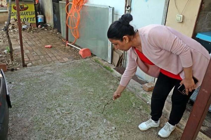 Evinin bahçesindeki tırtılları süpürdü, panikle hastaneye gitti! 'Her şey 15 dakika içinde oldu'