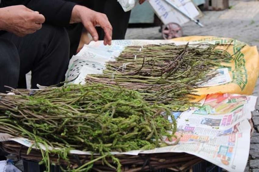 Kemik ağrısı, romatizma dahil birçok hastalığa iyi geliyor! 35 liradan satılıyor