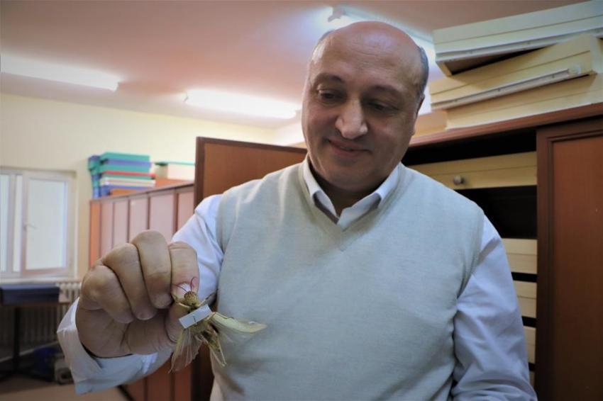 10 yılda 200 bin tür biriktirdiler! ‘Bakımı çok zor’