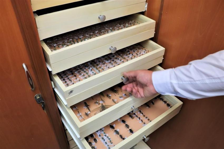 10 yılda 200 bin tür biriktirdiler! ‘Bakımı çok zor’
