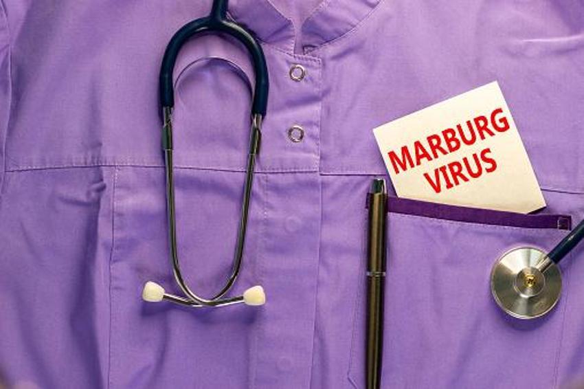 Tedavisi ve aşısı olmayan virüs! Bulaştığı kişi 9 günde ölüyor