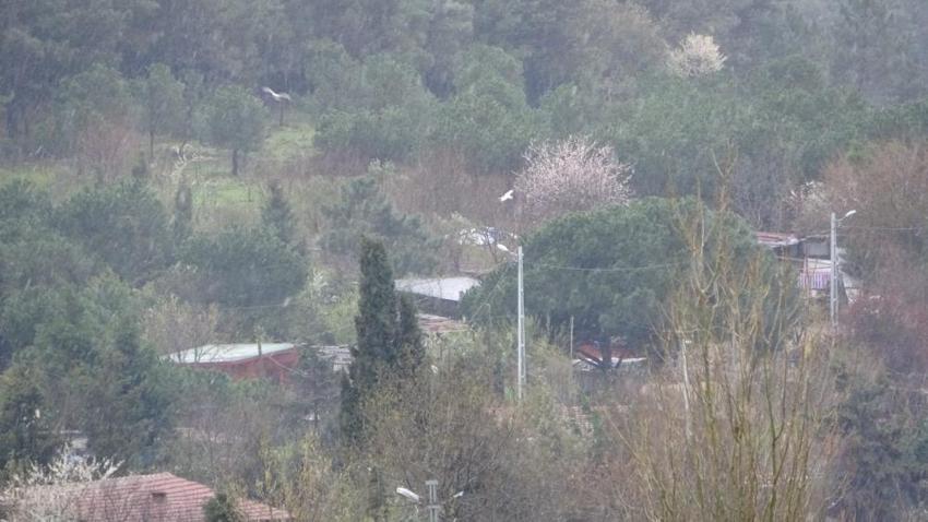 Yoğun kar yağışı başladı! Sıcaklık 15 derece düşüyor, Meteoroloji son dakika 56 il için uyardı