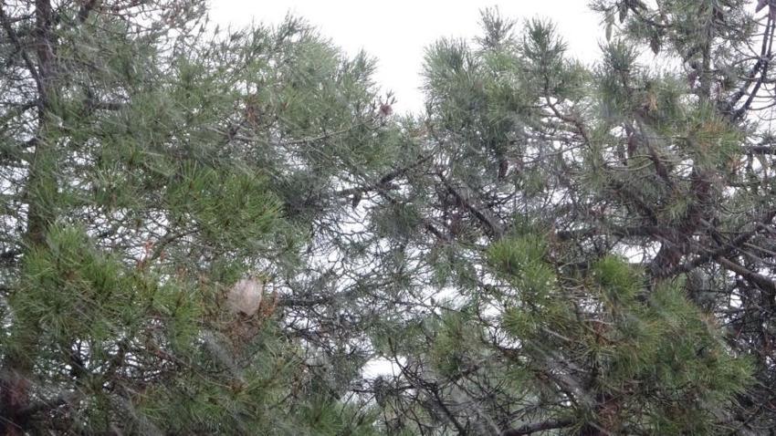 Yoğun kar yağışı başladı! Sıcaklık 15 derece düşüyor, Meteoroloji son dakika 56 il için uyardı