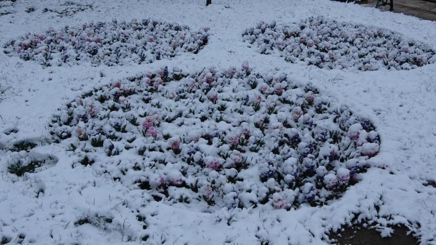 Yoğun kar yağışı başladı! Sıcaklık 15 derece düşüyor, Meteoroloji son dakika 56 il için uyardı