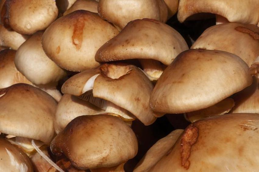 Bilinçsiz tüketimi öldürüyor! Belirtileri tek tek açıklandı