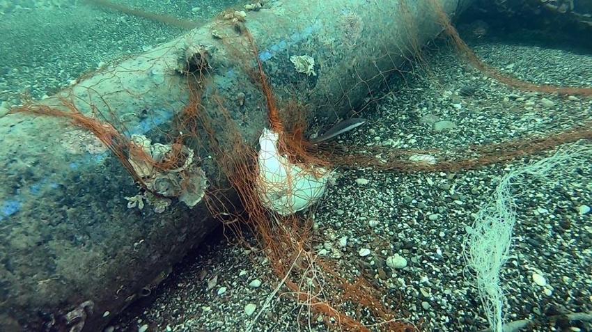 Antalya'nın falezler bölgesi 'hayalet ağlar'a teslim! 