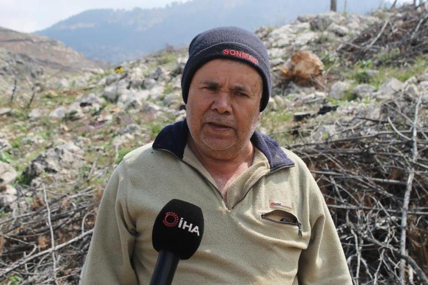 Yanan ormanda fışkırdı! Fiyatı altınla yarışıyor