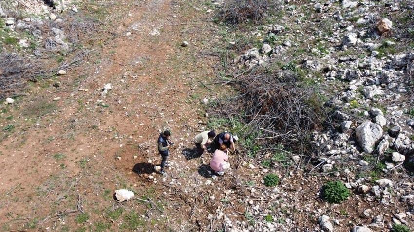 Altın değerinde: Köylüler her yerde onu arıyor, tazesinin kilogramı 600, kurusunun 6 bin 500 TL'ye kadar satılıyor