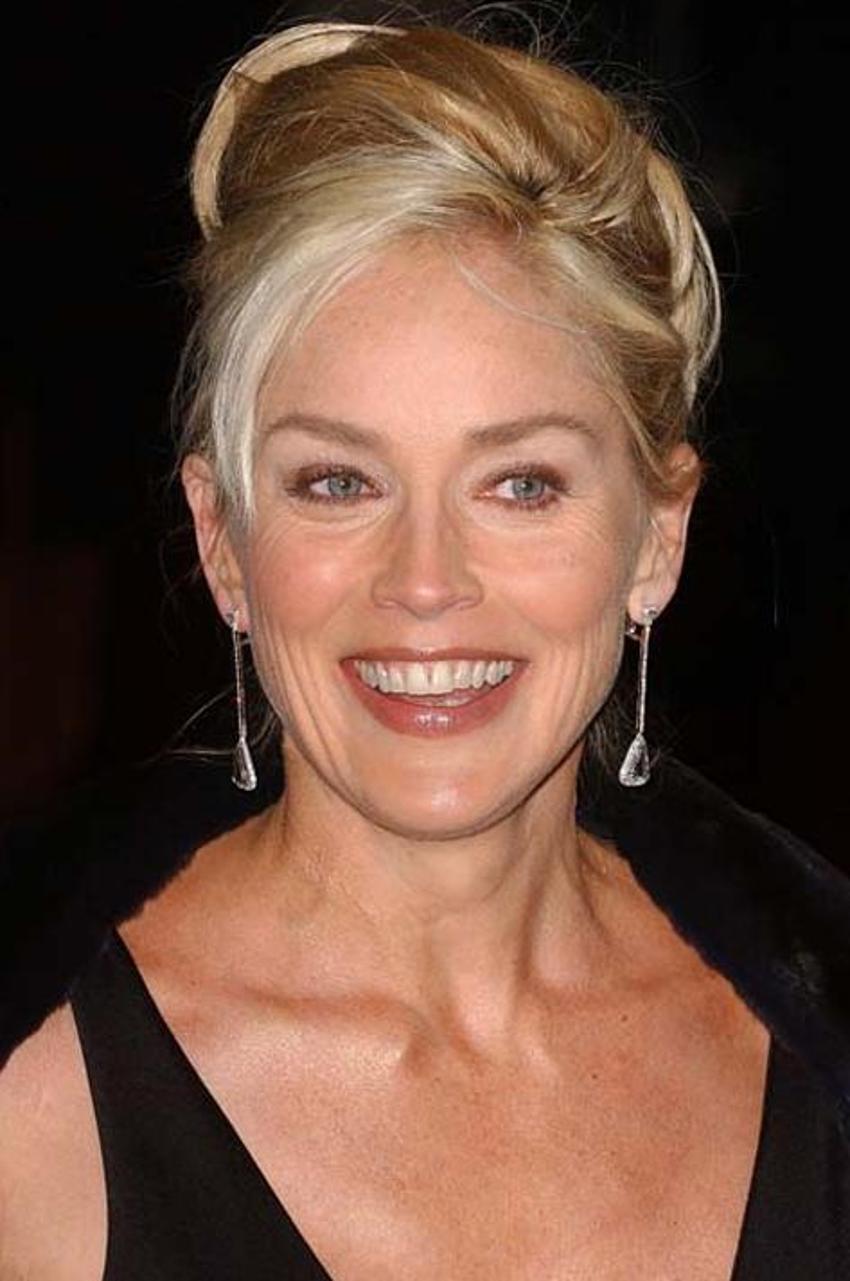 Sharon Stone'dan çarpıcı itiraf: Rol arkadaşıma göre çok az kazandım