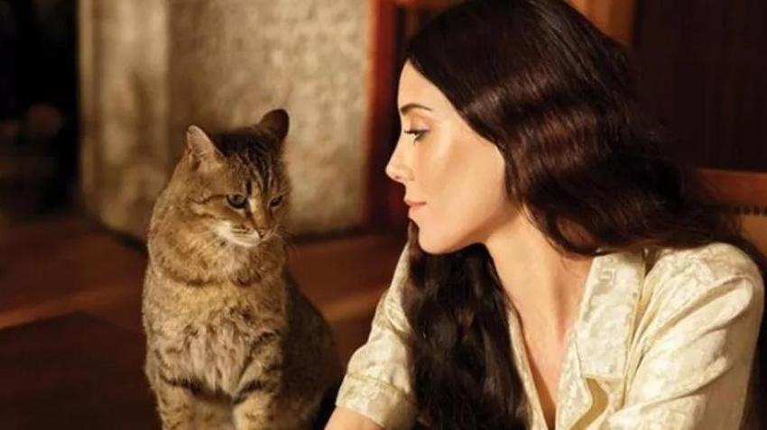 Cansu Dere aylar sonra böyle görüntülendi