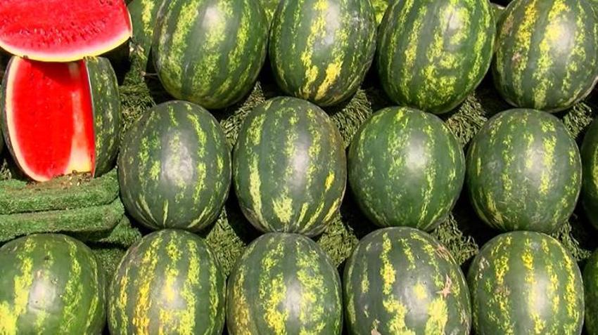 Karpuz tezgahlarda yerini aldı! İşte kilo fiyatları