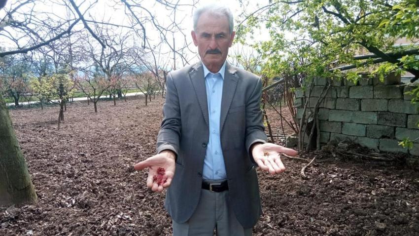 Zirai don vurdu! 'Kaybımız çok büyük'