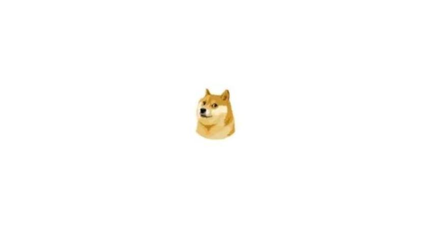 Twitter logosunu Dogecoin Shiba Inu köpeğiyle değiştirdi! Twitter mavi kuş logosu neden değişti?