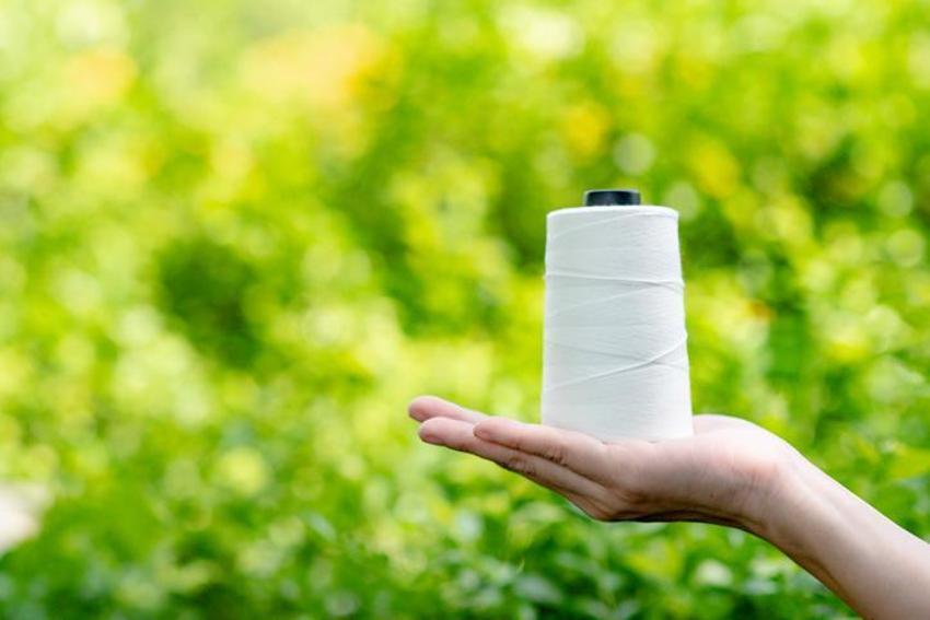 Sasa Holding (polyester) kimin, sahibi kim, ne iş yapar? Sasa Polyester hisse fiyatı nedir, nasıl alınır?