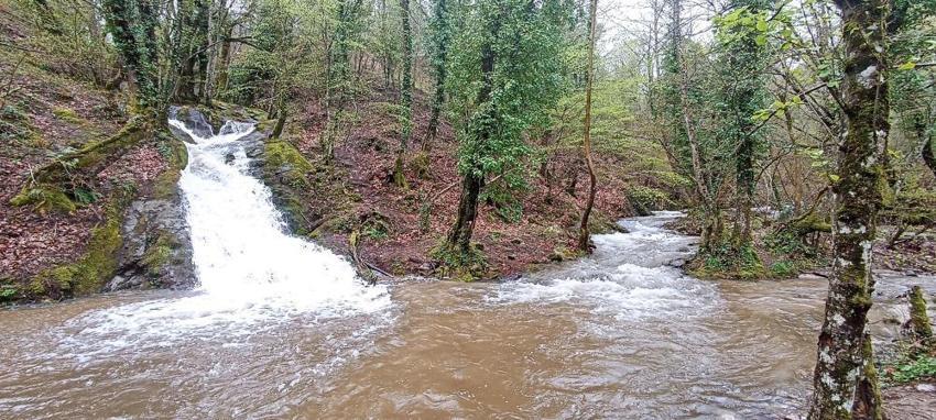Kuraklık alarmı veren Kazdağları'ndan sevindiren görüntü
