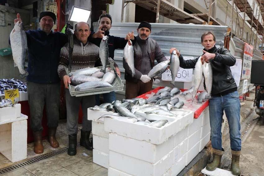 Tezgahlarda hamsi patlaması, yüzde 70 arttı! Fiyatlar düştükçe düşüyor, kilosu 50 lira