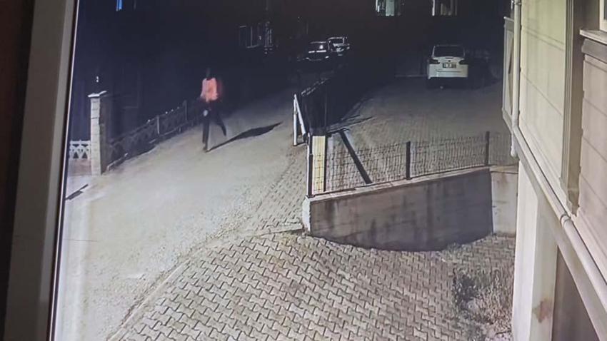 Dina’ya ne oldu? Sır ölümün izi sürüldü