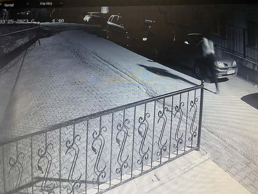 Dina’ya ne oldu? Sır ölümün izi sürüldü