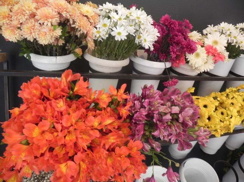 Baharın gelmesiyle vatandaşlar akın etti! 70 liradan 2 bin liraya kadar yükseliyor