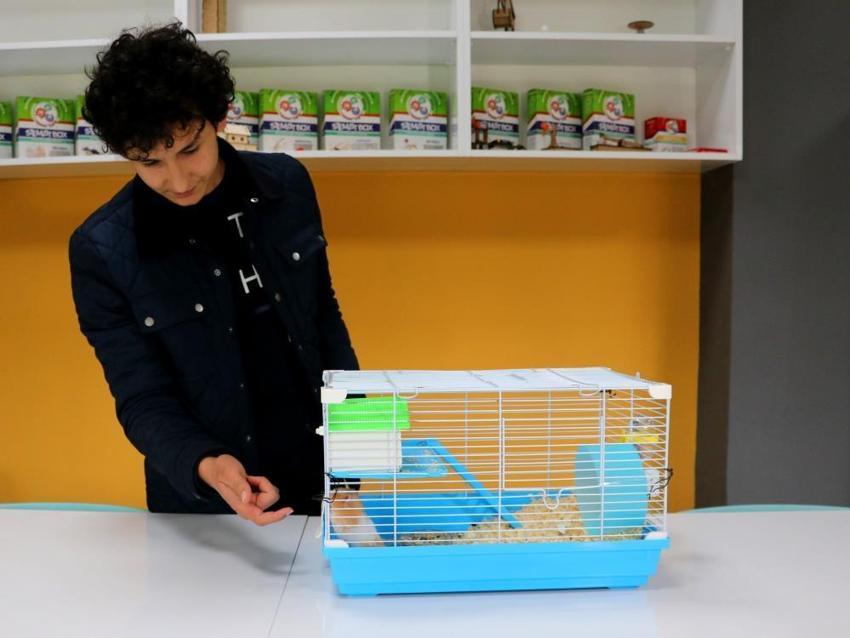  Depremde hayat kurtaran hamster! Köpeklere rakip olabilir