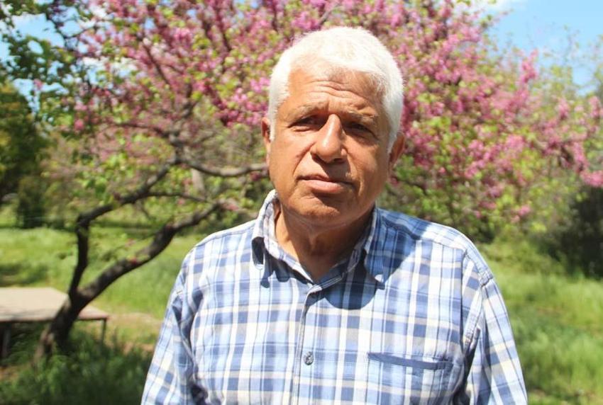 İstilacı dikenli zehirli deniz kestanesi popülasyonunda toplu ölümler yaşanıyor