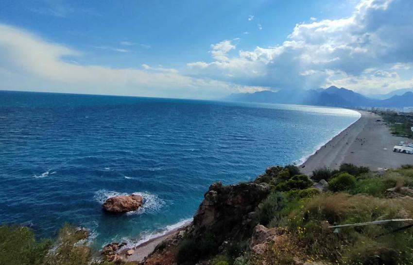 İstilacı dikenli zehirli deniz kestanesi popülasyonunda toplu ölümler yaşanıyor