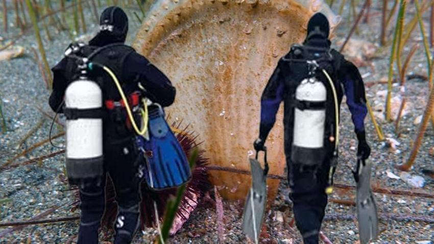 Marmara Denizi'nin son umudu oldu! Saatte 6 litre su temizliyor