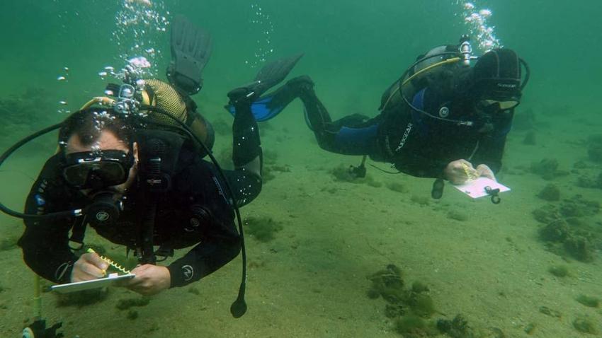 Marmara Denizi'nin son umudu oldu! Saatte 6 litre su temizliyor