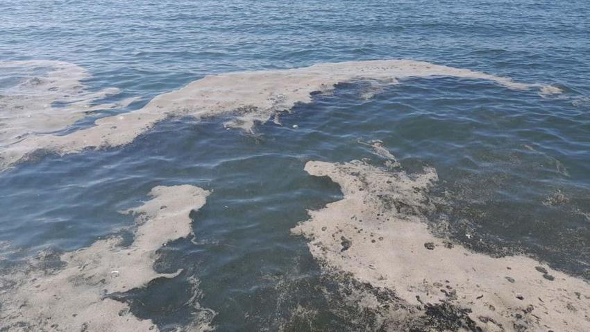Marmara Denizi'nin son umudu oldu! Saatte 6 litre su temizliyor
