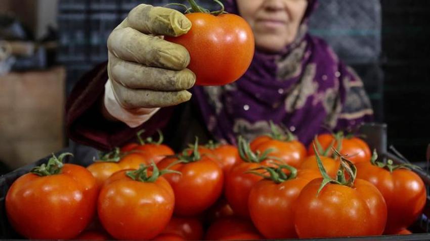 İhracatın kralı domates ve biber oldu! Hepsi geride kaldı