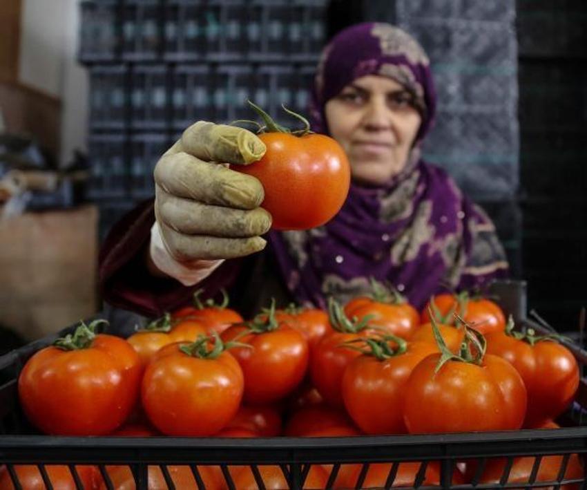 Markette fiyat etiketleri değişti! Soğan, sıvı yağ, biber zirvede