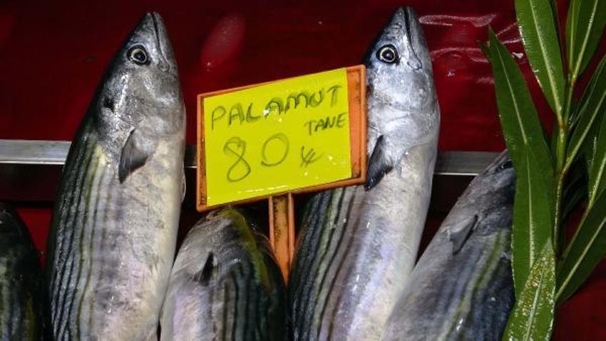 Tezgahlardaki balık çeşitliliği, olta ve dalyan avcılığıyla sürüyor