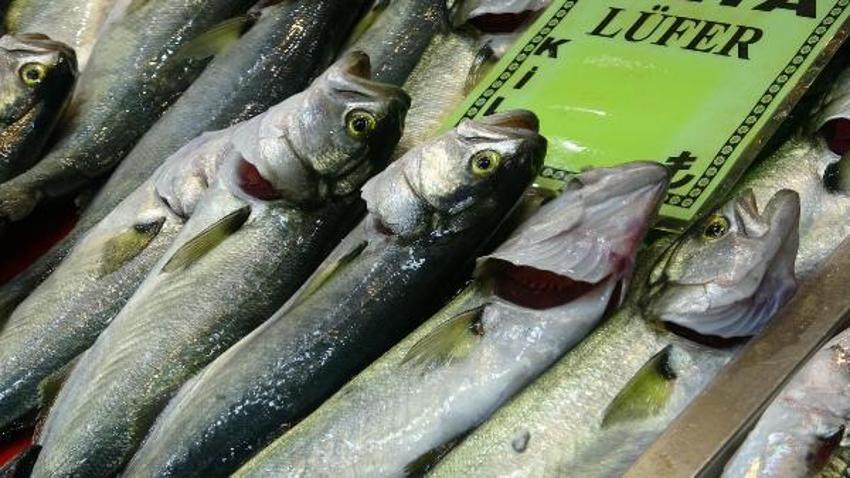 Tezgahlardaki balık çeşitliliği, olta ve dalyan avcılığıyla sürüyor