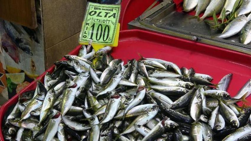 Tezgahlardaki balık çeşitliliği, olta ve dalyan avcılığıyla sürüyor