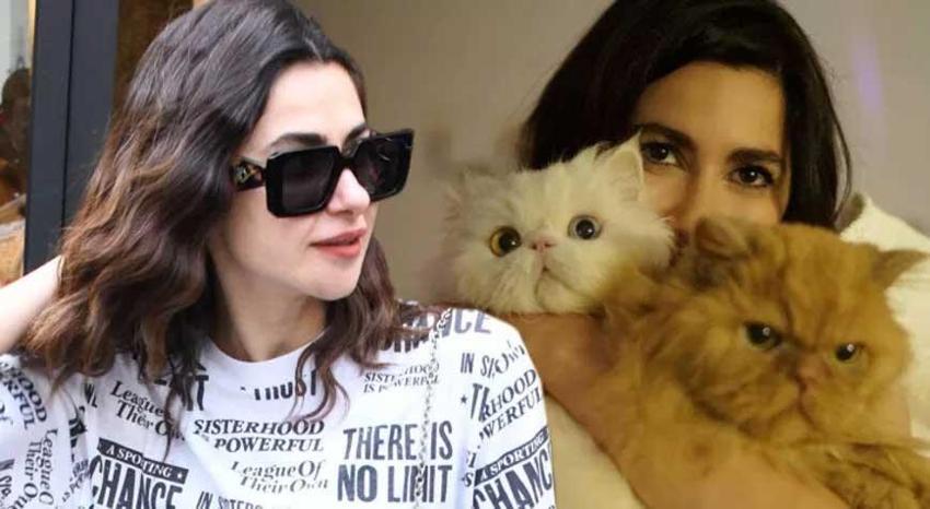 Nesrin Cavadzade: Maalesef Atatürk Oto Sanayi'ye götürmüşler