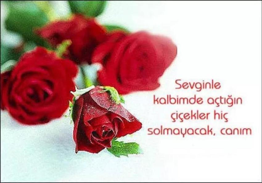 Sevgiliye bayram mesajları 21 Nisan 2023! Sevgiliye romantik Ramazan Bayramı mesajları, sözleri...