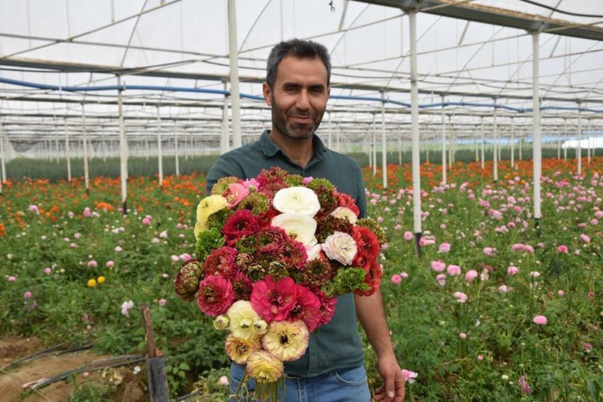 Türkiye’de sadece bir ilde üretiliyor! Yüzde 90’ı yurt dışına ihraç ediliyor