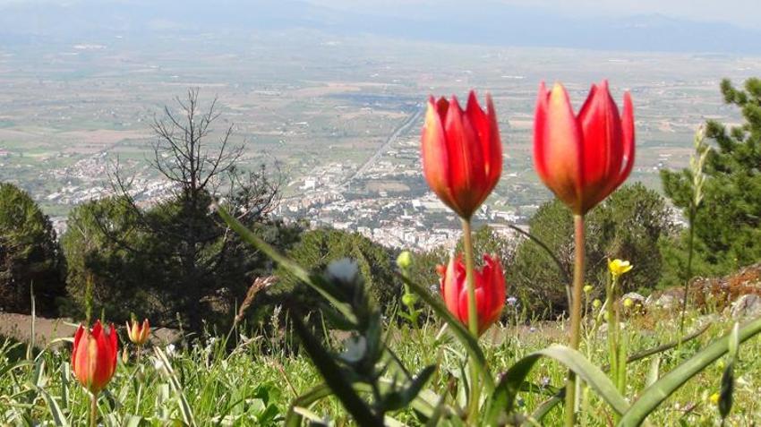 2022 yılında 109 bin lira olan idari para cezası bu yıl 244 bin 315 lira olarak belirlendi